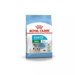 Royal Canin Mini Starter Pienso Seco 8Kg