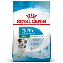 Royal Canin Mini Starter Pienso Seco 8Kg