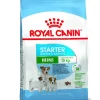 Royal Canin Mini Starter Pienso Seco 1Kg