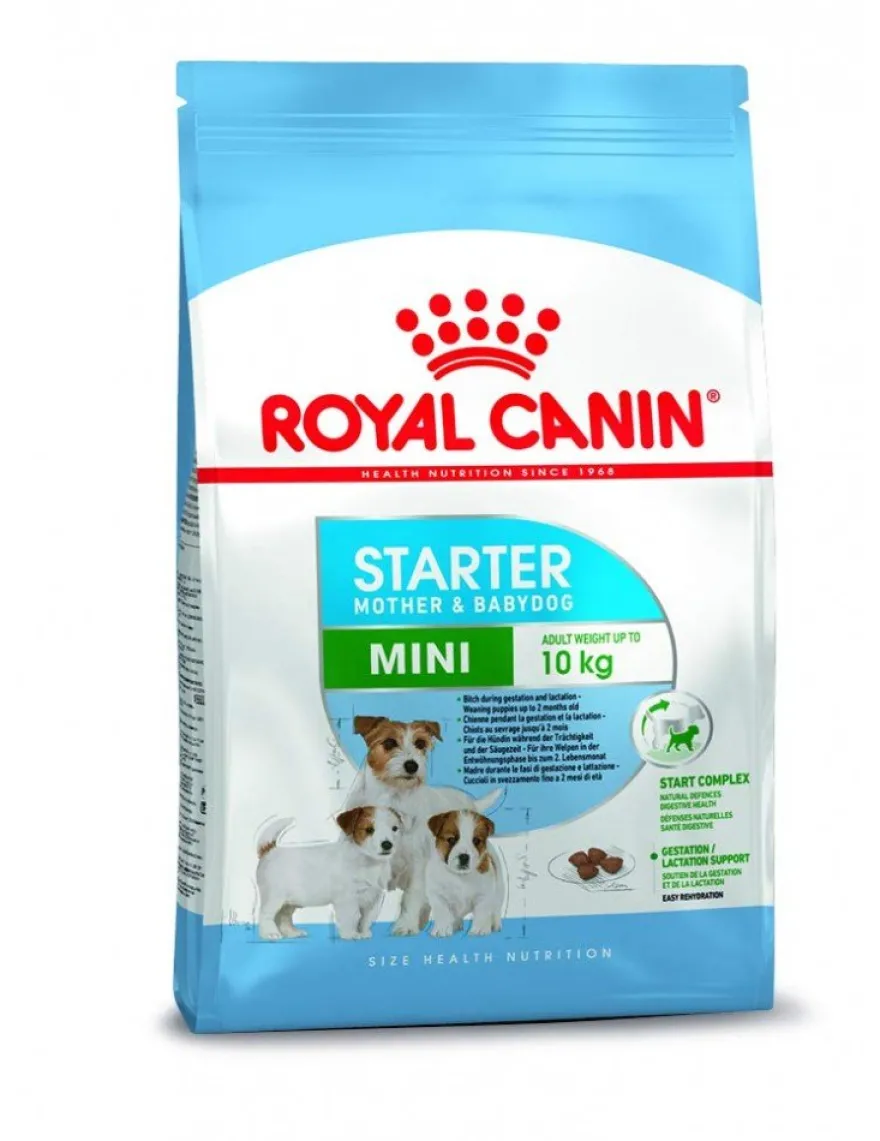 Royal Canin Mini Starter Pienso Seco 1Kg