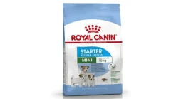 Royal Canin Mini Starter Pienso Seco 1Kg