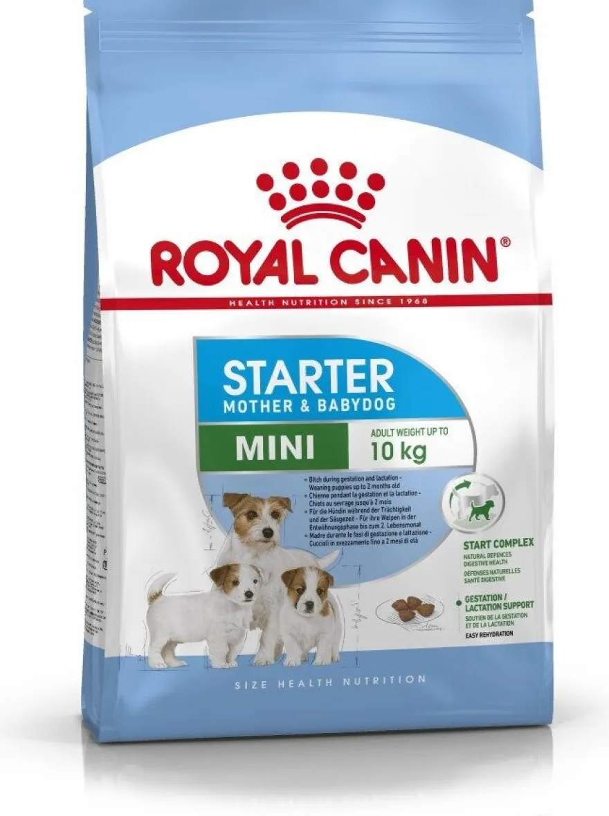 Royal Canin Mini Starter Pienso Seco 1Kg