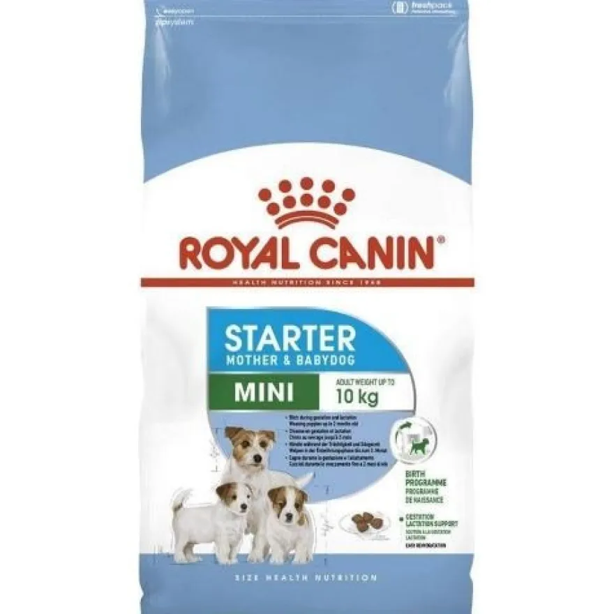 Royal Canin Mini Starter Pienso Seco 1Kg