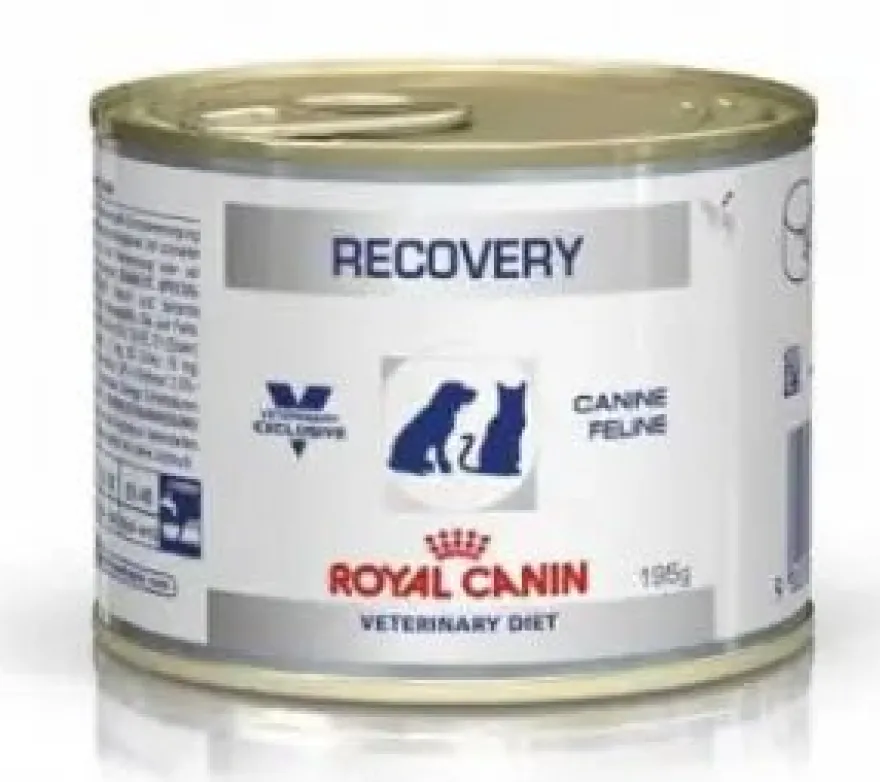 Royal Canin Recovery Gato Húmeda 195gr