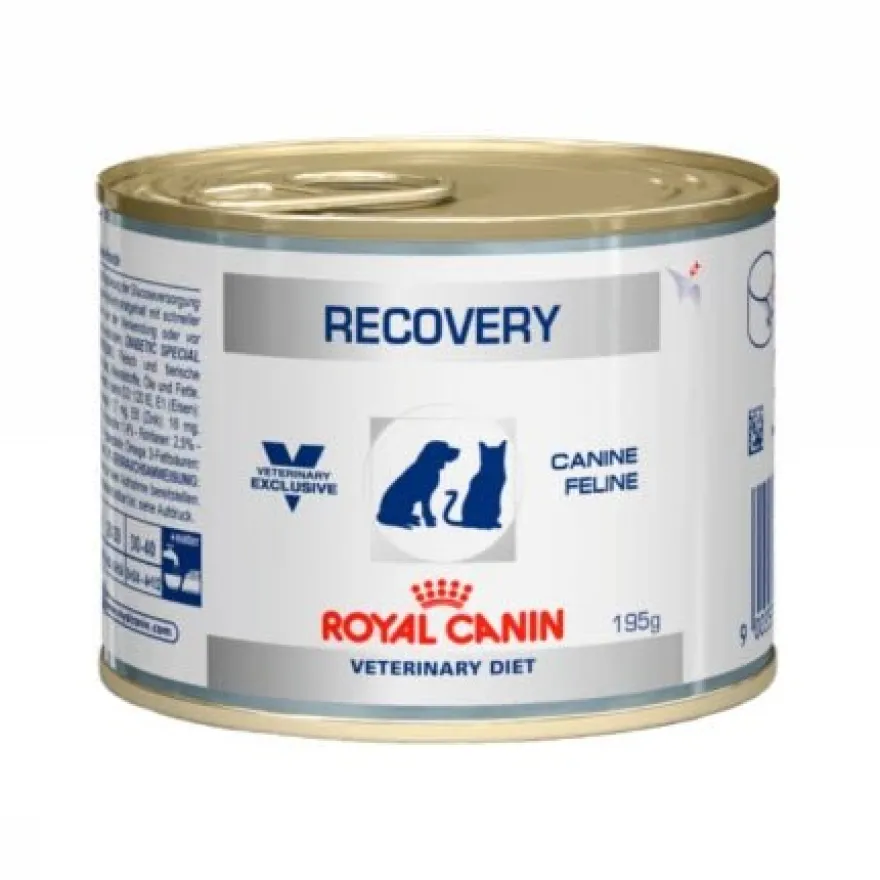 Royal Canin Recovery Gato Húmeda 195gr