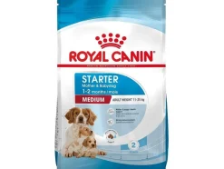 Royal Canin Starter Medium Saco de Alimento Seco 15Kg