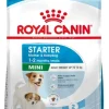 Royal Canin Starter Mini Comida Seca Cachorros 4kg