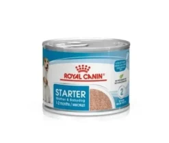 Royal Canin Starter Mousse Madre & Cachorros Alimento Húmedo 195gr