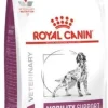 Royal Canin Veterinary Canine Mobility Support Alimento seco Pollo 7Kg