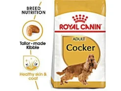 Royal Cocker Adult Pienso Seco 12kg