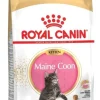 Royal Feline Kitten Maine Coon Comida Seca 4Kg