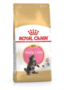 Royal Feline Kitten Maine Coon Comida Seca 4Kg