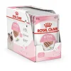 Royal Feline Kitten Pate Comida Húmeda 12 sobres de 85g