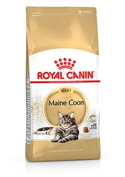 Royal Feline Maine Coon 31 Croquetas 4Kg