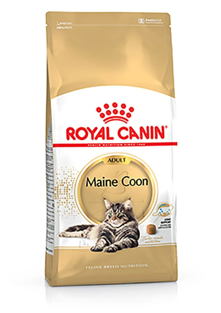 Royal Feline Maine Coon 31 Croquetas 4Kg