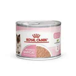Royal Feline Mother Babycat Comida Húmeda 12 x 195g