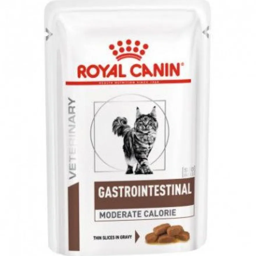 Royal Gastro Intestinal Moderate Comida Seca para Gatos 400g