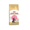 Royal Maine Coon Kitten Comida seca 10kg