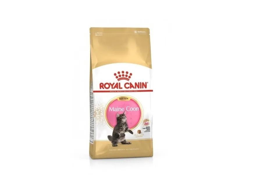 Royal Maine Coon Kitten Comida seca 10kg