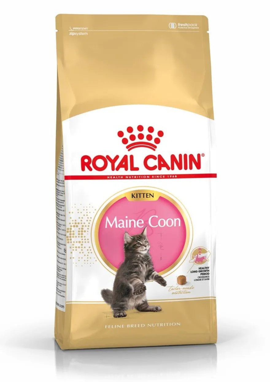 Royal Maine Coon Kitten Comida seca 10kg