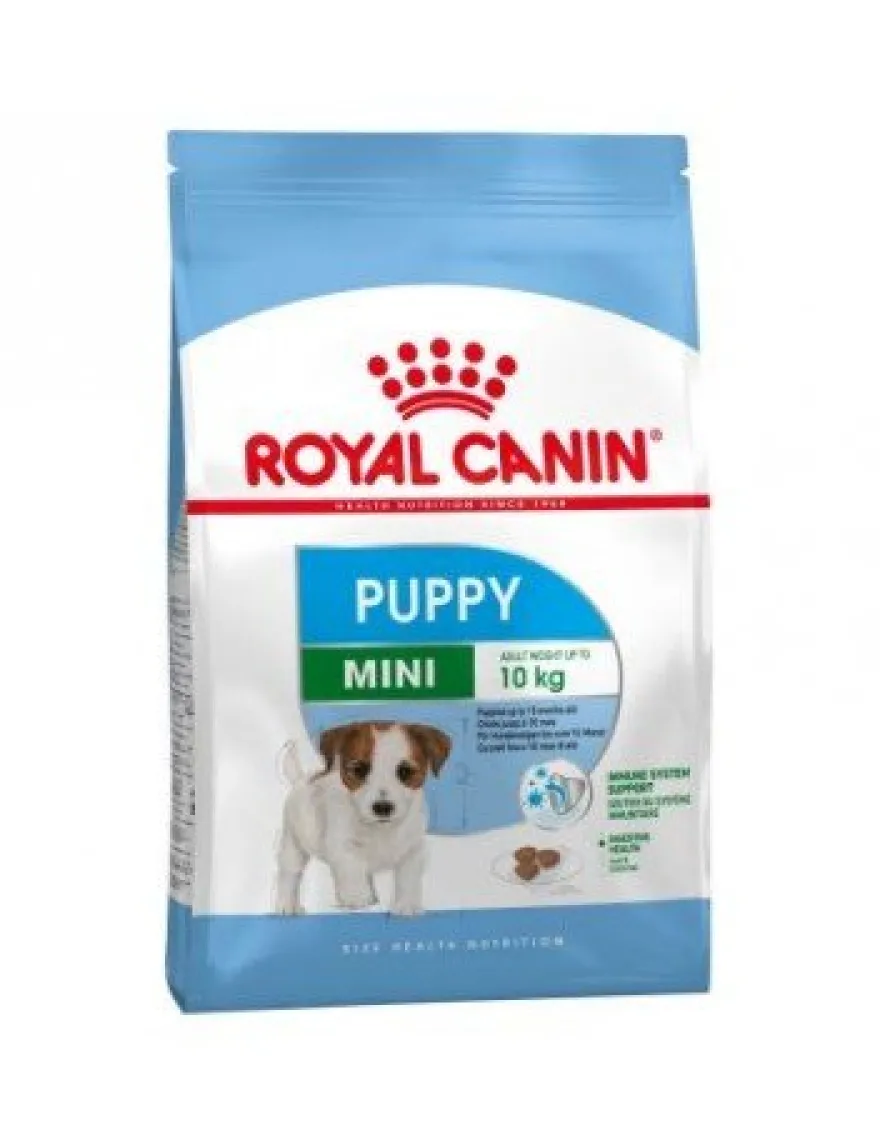 Royal Puppy Mini Alimento Seco 800g