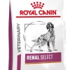 Royal Vet Canine Renal Select Alimento Seco 2Kg