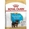Royal Yorkshire Terrier Junior 29 Comida seca 1,5Kg