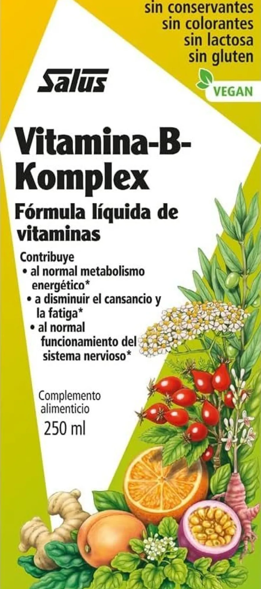 Salus Vitamina B Komplex 250 ml