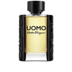 Salvatore Ferragamo Uomo Salvatore Ferragamo Eau De Toilette Vaporizador 100 ml