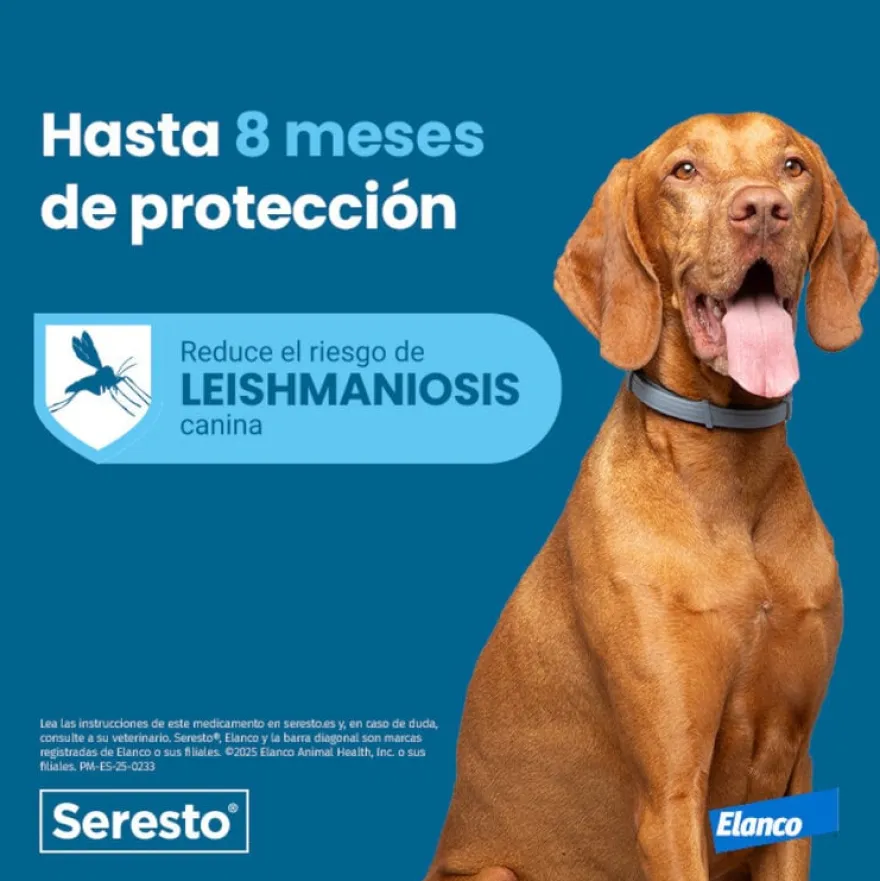 Seresto Perro Pequeño -8 Kg Clinico 12 Uds
