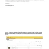 SFG Gafas para Eclipse Solar ISO 12312-2 1 Unidad