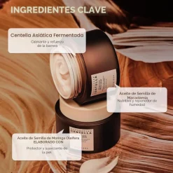 Skin1004 Madagascar Centella Probio-Cica Enrich Cream 50ml