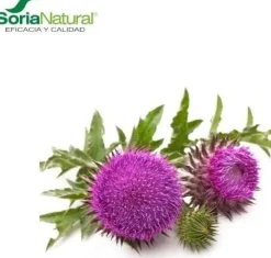 Soria Natural Extracto Cardo Mariano S. XXI 50 ml