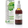 Soria Natural Extracto Hamamelis S. XXI 50 ml