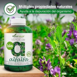 Soria Natural Verde Alfalfa 630 Mg 240 Cápsulas