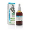 Soria Natural XXI Composor 21 Obestane 50 ml