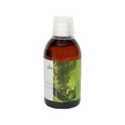 Sotya Beslan Jugo de Aloe Vera 500 ml