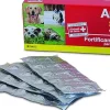 Stangest Anima Strath Complemento Alimenticio 40g