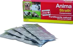 Stangest Anima Strath Complemento Alimenticio 40g