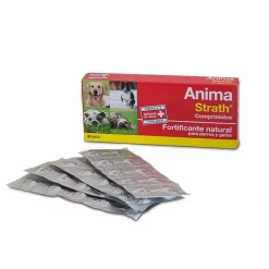 Stangest Anima Strath Complemento Alimenticio 40g