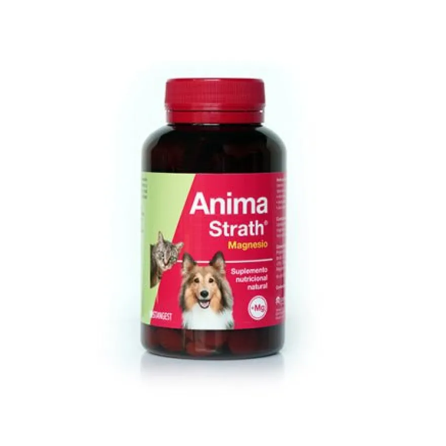 Stangest Anima Strath Magnesio Suplemento Alimenticio 240 comprimidos