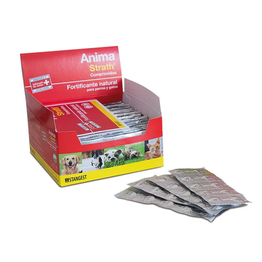 Stangest Anima Strath Suplemento Nutricional 360g