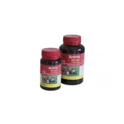Stangest Anima Strath Suplemento 240 Cpd