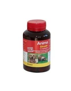 Stangest Anima Strath Suplemento 240 Cpd