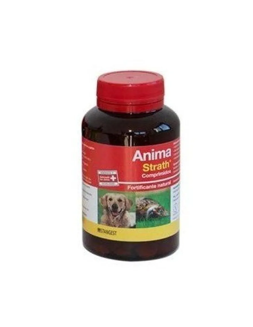 Stangest Anima Strath Suplemento 240 Cpd