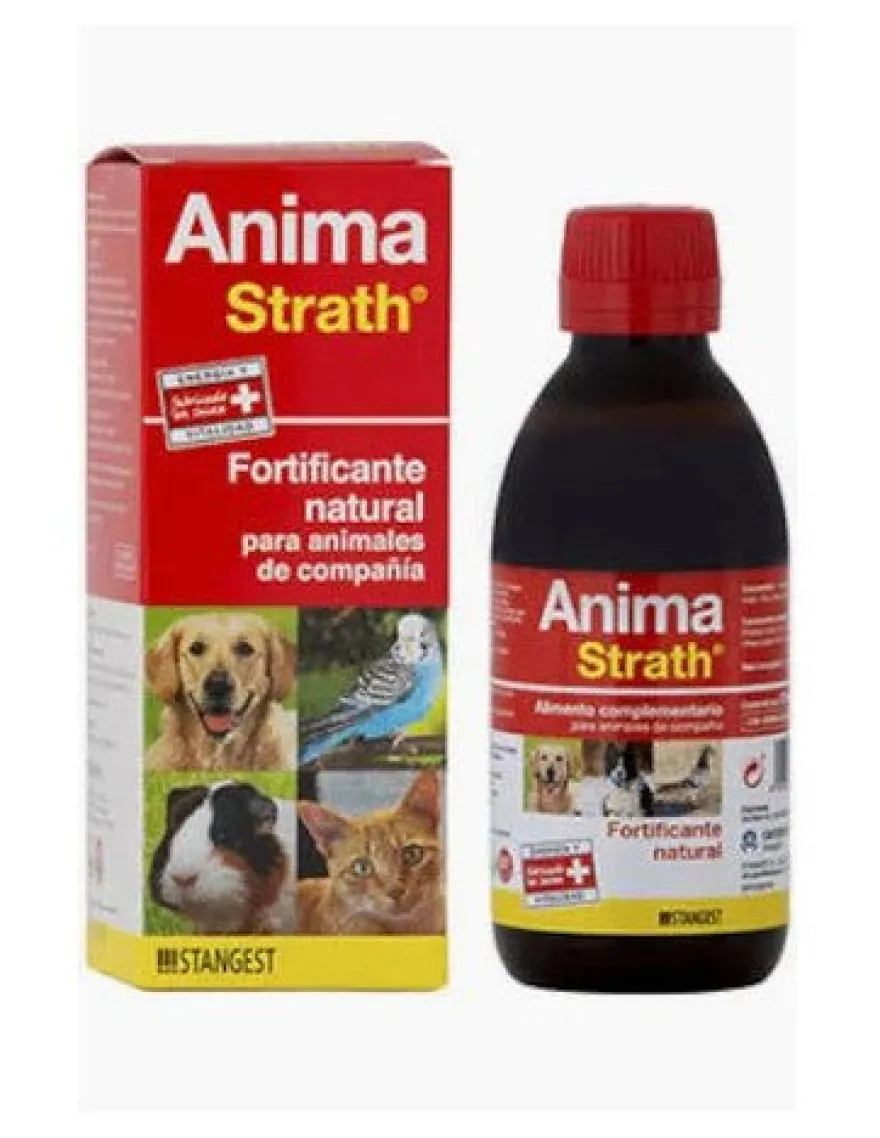 Stangest Anima Strath Suplemento Fortificante 100ml
