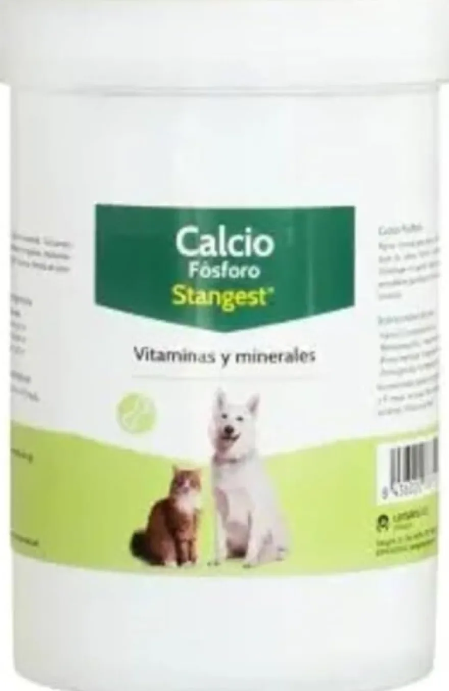 Stangest Calcio Fosforo 500 Comprimidos 500 ud