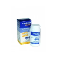 Stangest Condrocit Comprimidos 60 und