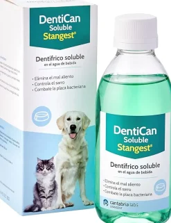Stangest Dentican Soluble Dentífrico Líquido 250ml