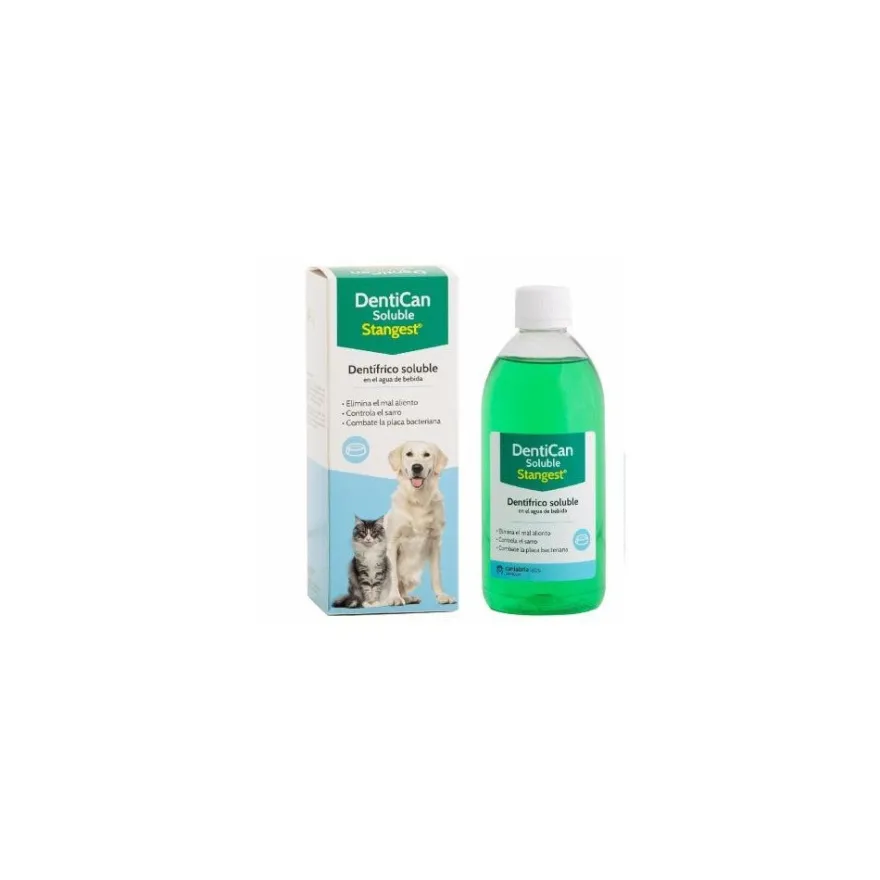 Stangest Dentican Soluble Dentífrico Líquido 250ml